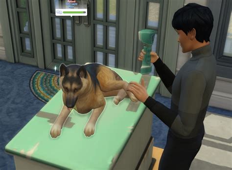 how to adopt a pet in sims 4